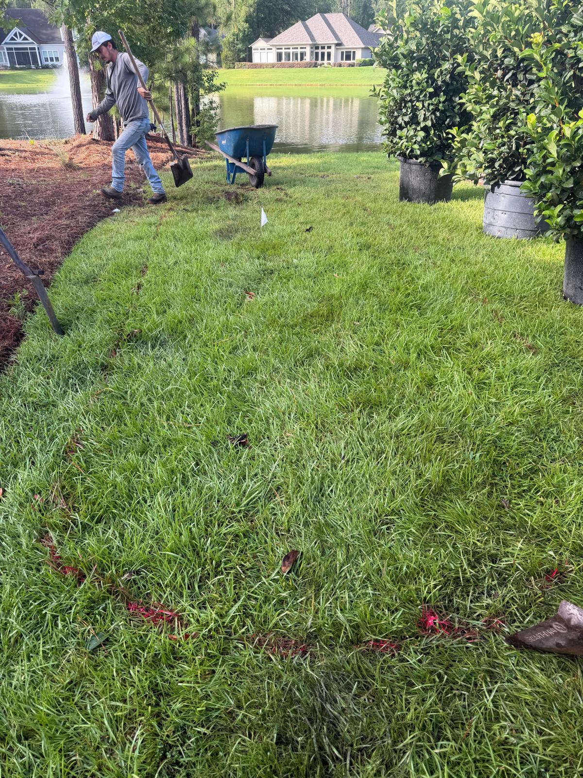 Landscape before transformation