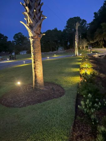 A tree is lit up at night in the grass.
