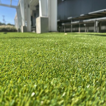 A close up of the grass on the ground